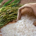 Abuelas de Plaza de May

 – Actualidad cr