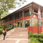 El freno de pista rápido 4-3 suena en el parlamento; Los suplentes solicitan promover otras tareas

 – Actualidad cr