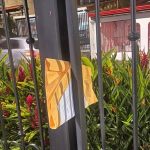 20 partidos nacionales y 5 partidos provinciales para las elecciones de 2026

 – Actualidad cr