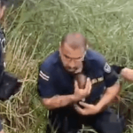 Periodista de Grupo Extra recibe reconocido premio

 – Actualidad cr