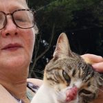 Álvaro Ramos tras la denuncia contra Stella Chinchilla: «Nos van a llevar por el mismo camino de una dictadura»

 – Actualidad cr