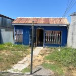 Así bailó Don Raúl con Bad Bunny

 – Actualidad cr